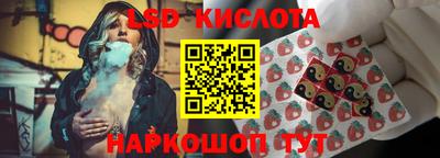 шишки Тверь