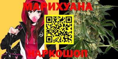 шишки Тверь