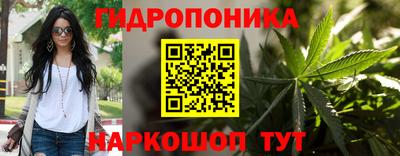 шишки Тверь