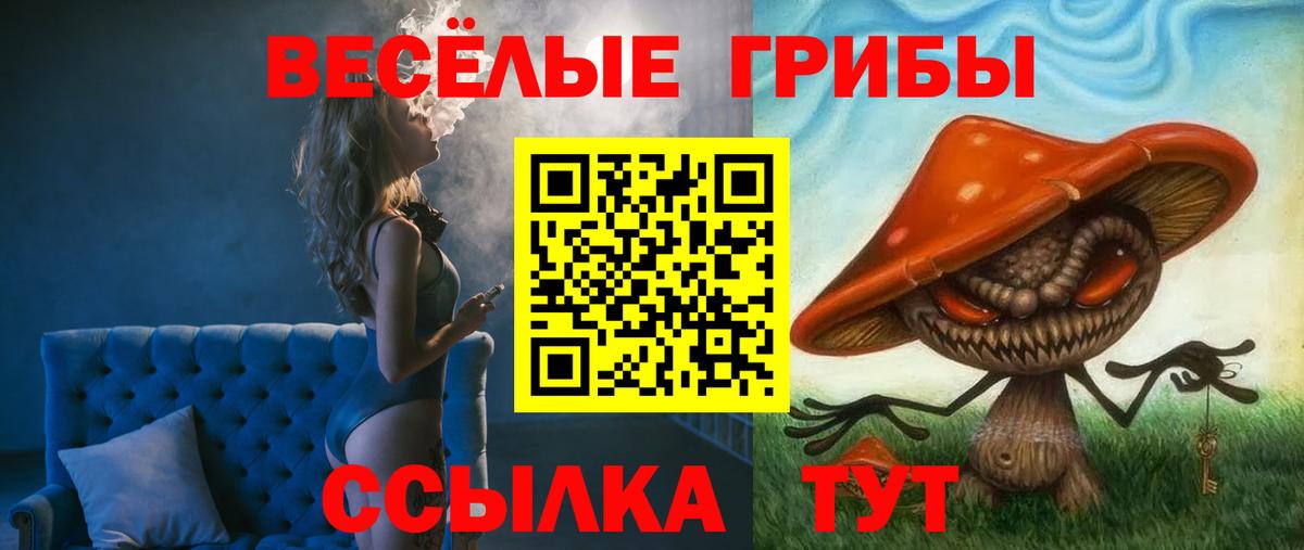 Галлюциногенные грибы Psilocybe  Вход с VPN  Нурлат 